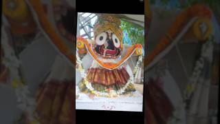 Jay Jagannath ji #love #jagannathrath #hinduchant #song #jagannathvajan #trendingshorts #laddu