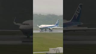 【Hagi-Iwami Airport】　 ALL NIPPON AIRWAYS  Airbus A320 Landing  #萩石見空港   #ana  #益田市   #airbusa320