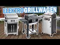 Beste ELEKTRO-GRILLWAGEN 2024 | Top 3 Elektrogrillwagen Vergleich