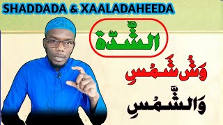 shaddada(الشدّة) ma xaraf baa mise? side lo aqriyaa \u0026 inta xaraf ee qaata shadada | Maclin mustafa