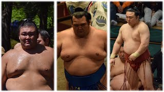 Asanoyama back fighting; Terunofuji \