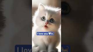 When Cute cat in love 🤍