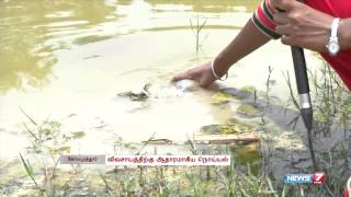 No end to pollution of Noyyal river