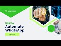 Mastering Automated WhatsApp Messaging with Python: A Step-by-Step Guide