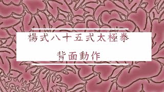 楊式85式太極拳･背面動作・背面で覚える完全な太極拳