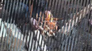 Stump Stove vs Traditional Campfire.wmv