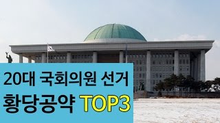 20대 총선 황당공약 TOP3