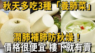 秋燥要養肺，不然養生全白費！多吃3種「養肺黃金菜」，潤肺補肺，每1口都能讓你的肺清1圈！關鍵價格很便宜，樓下就有賣丨養之道