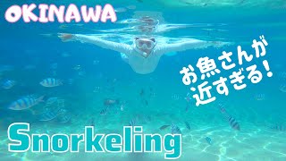 【沖縄Snorkeling】車で行ける離島！初心者におすすめ！魚が近すぎるビーチでシュノーケリング！クマノミもいる！沖縄旅行 Okinawa