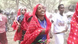 Ni Qafar qaada Meqe Qaaxa beautiful Cultural  dance In kelwan 2024 Visit  Afar