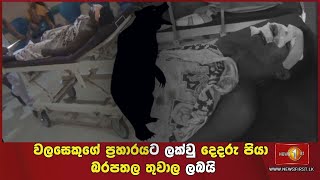 වලසෙකුගේ ප්‍රහාරයට ලක්වු දෙදරු පියා බරපතල තුවාල ලබයි.