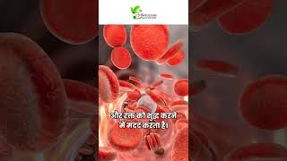 मरोड़ फली है काफी फायदेमंद #marodphali #benefits #healthtips #increaseblood #tejhakshayurveda #herbs