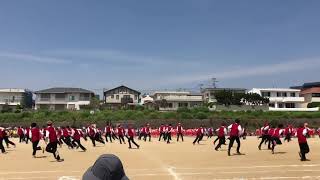 七里ガ浜高校体育祭 Red Gang