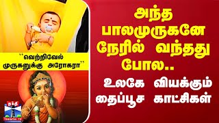 அந்த பாலமுருகனே நேரில் வந்தது போல.. உலகே வியக்கும் தைப்பூச காட்சிகள்