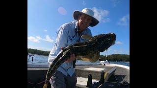 Close to Monster Forster Flathead