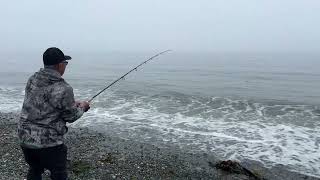 Jeff’s pink salmon Lagoon Point, Whidbey Island, WA