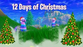 12 days of christmas fortnite edition - 12 days of fortnite song