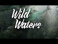 Wild Waters: Preserving salmon habitat in Metro Vancouver