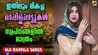 പഴയ മാപ്പിളപ്പാട്ടുകൾ Mappila Songs | Old Is Gold Mappilappattukal | Mappila Pattukal | Pazhaya Song