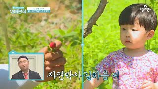 채소와 친해지길 바래♥ 길 아빠가 준비한 하음이의 편식 고치기 프로젝트! | 아재 감성 느와르 아빠본색 205 회