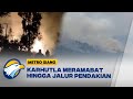 Hutan di Lereng Gunung Lawu Kembali Terbakar