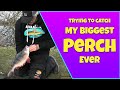 The hunt for a new PB - PERCH 4