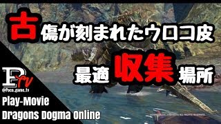 【DDON】古傷が刻まれたウロコ皮 収集ルート