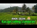 kacapi suling sedih dengan suasana pedesaan turun hujan || bikin kangen kampung halaman