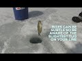 ice fishing how to use a jigging rod