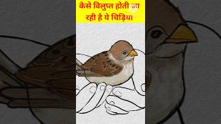 कैसे विलुप्त होती जा रही है ये चिड़िया |Facts by Gyan Ke Saath #shorts #youtubeshorts #amazingfacts