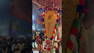 കുട്ടംകുളങ്ങര അർജുനൻ || #elephant #arjunan #pooram #perunnal #nercha #vela #trending #viral #shorts