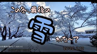 11 この冬最後の雪かな？ 2020.3.12 【小坂町観光PR応援隊】