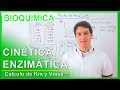 Cinética Enzimática (Calculando Km y Vmáx) FÁCIL | Camach Learn