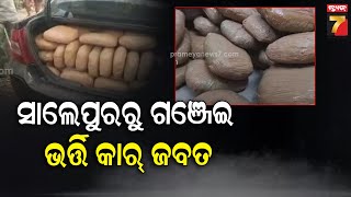 Salepur Ganja Seized | ସାଲେପୁରରୁ ଗଞ୍ଜେଇ ଭର୍ତ୍ତି କାର୍ ଜବତ, ୨ଟି ବନ୍ଧୁକ ସହ ଜଣେ ଗିରଫ | PrameyaNews7