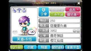 TMS【新楓之谷】Maplestory - 惡魔復仇者職業淺談介紹與心得分享  메이플스토리