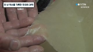 천 년 역사를 기록한 한지의 과학 / YTN 사이언스