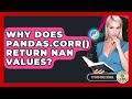 Why Does Pandas.corr() Return NaN Values? - Python Code School