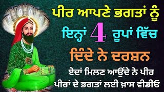 ਪੀਰ 4 ਰੂਪਾਂ ਵਿੱਚ ਦਿੰਦੇ ਨੇ ਭਗਤਾਂ ਨੂੰ ਦਰਸ਼ਨ। ਇਨ੍ਹਾਂ ਰੂਪਾਂ ਵਿੱਚ ਹੁੰਦੇ ਨੇ ਪੀਰਾਂ ਦੇ ਦਰਸ਼ਨ । #panjpeer #peer