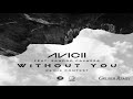 Avicii - Without You (Gruber Remix)
