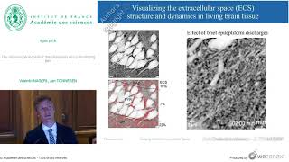 [Conférence] V. NAGERL, J. TONNESEN - The microscope resolution