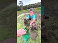 how i catch alligator gar by hand 🤚 🐊 louisiana fishing cajuncountry