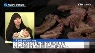 과학으로 입증된 '한우가 맛있는 이유' / YTN 사이언스