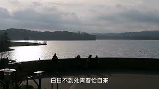 苔花如米小 也学牡丹开（歌词版）