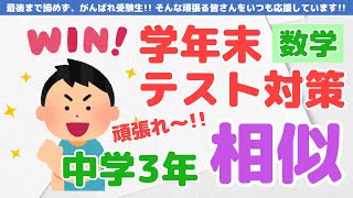 テストによく出る一問「相似の利用」【中3数学テスト対策】