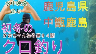 初冬のクロ釣り～鹿児島県中甑鹿島灯台下　かまちゃんねる第９４話