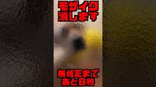 【閲覧注意】モザイク完全除去します