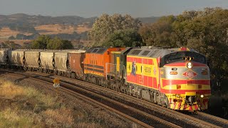 Australian streamliner diesel locomotives CLP9 \u0026 CLF2, along with 4908 - main south - November 2023