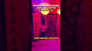 男子給狗狗小窩貼春聯儀式感滿滿，讓狗狗們感受過年的氣氛：每年都會給它們貼 #shorts #萌宠