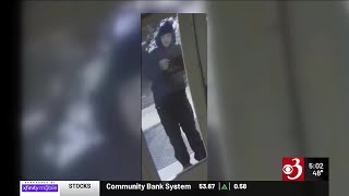 Vermont police try to identify suspected package thief