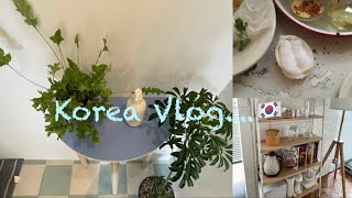 〔韓国vlog〕真夏の韓国旅行/パート1/推し活/カフェ活